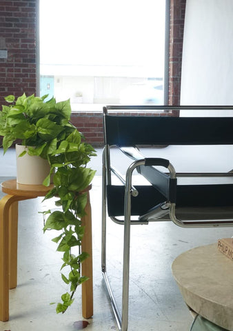 Retrograde potos artificial, planta decorativa grande para salones.