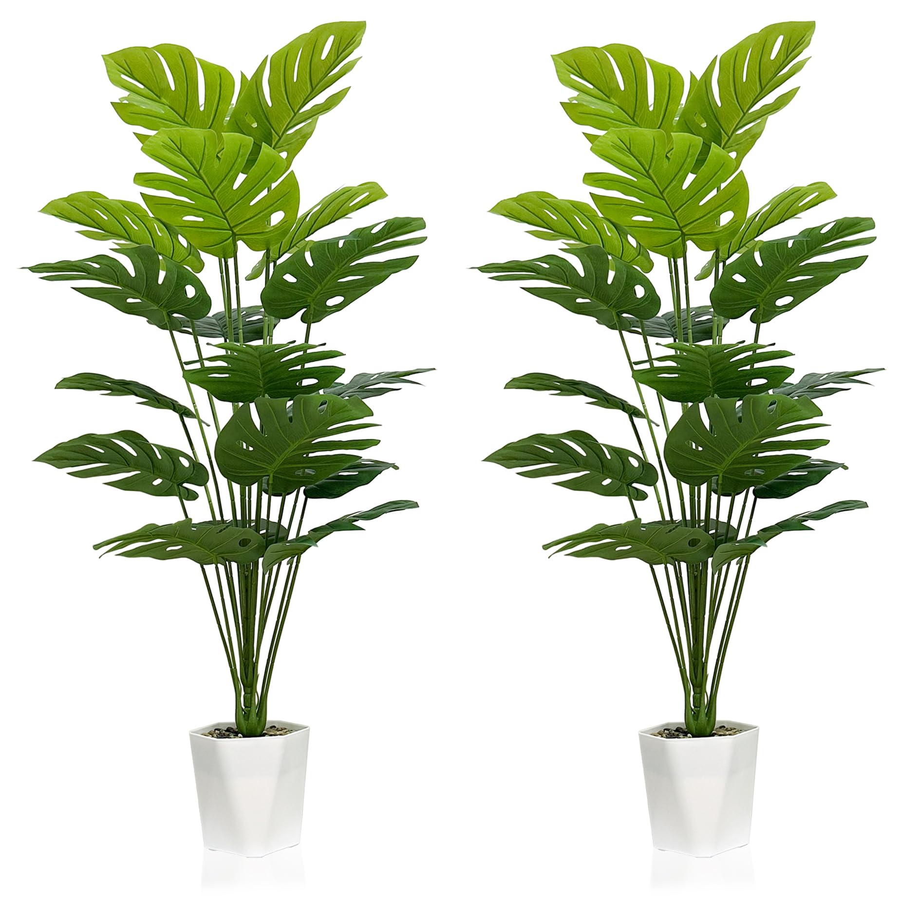 SAJANDAS Monstera Deliciosa: set de 2 en macetas blancas, decoración interior de 43 pulgadas.