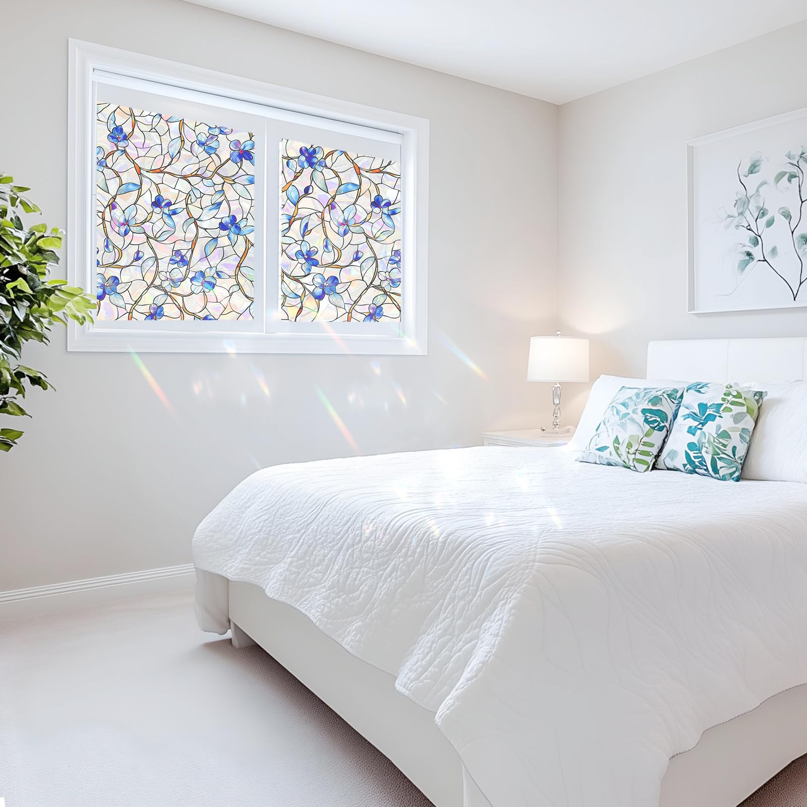 Somwise instalación rápida para ventana lista en minutos