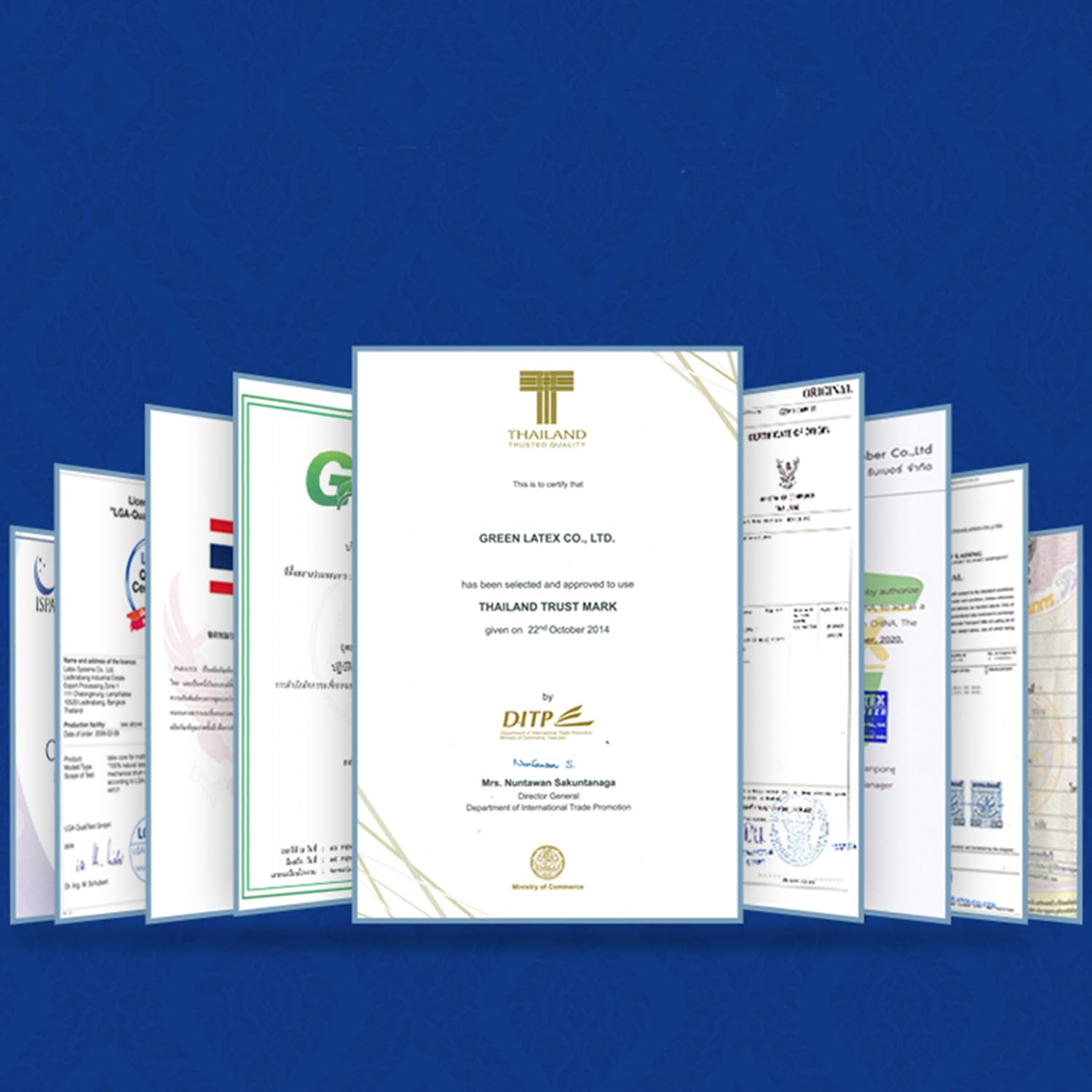 TalatexHome Almohada Talalay Natural, empaque listo para regalo.