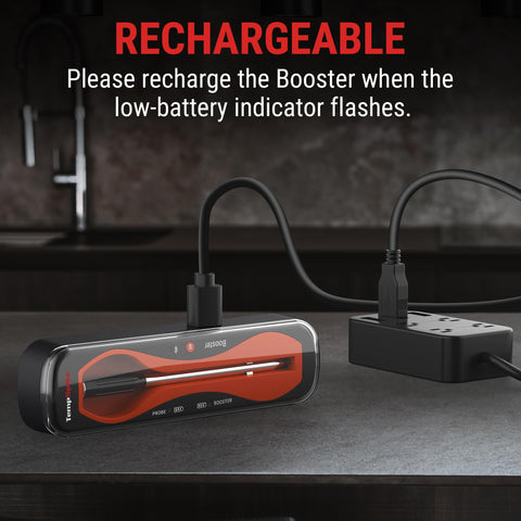 ThermoPro TempSpike regalo ideal para amantes de la barbacoa