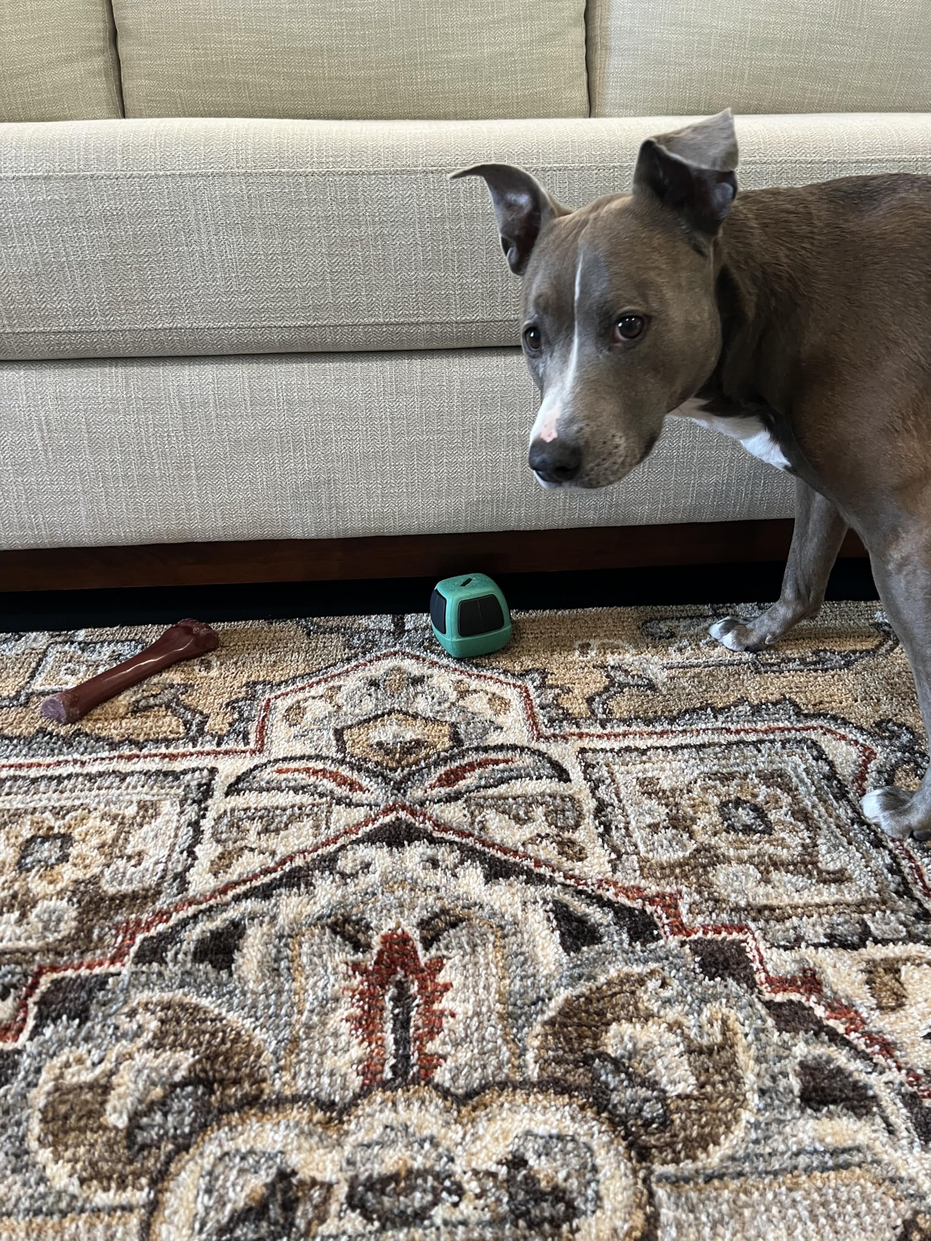 TOY BLOCKER instalación fácil desenrollar y enganchar solución discreta