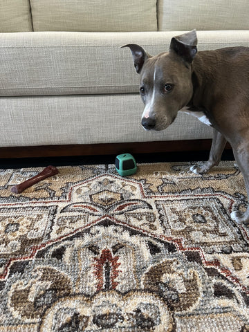 TOY BLOCKER instalación fácil desenrollar y enganchar solución discreta