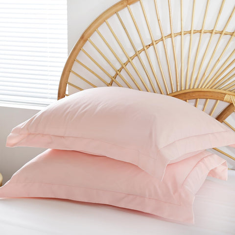 Weigelia empaque elegante, regalo listo para habitación nueva.